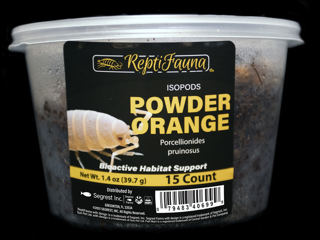Powder Orange