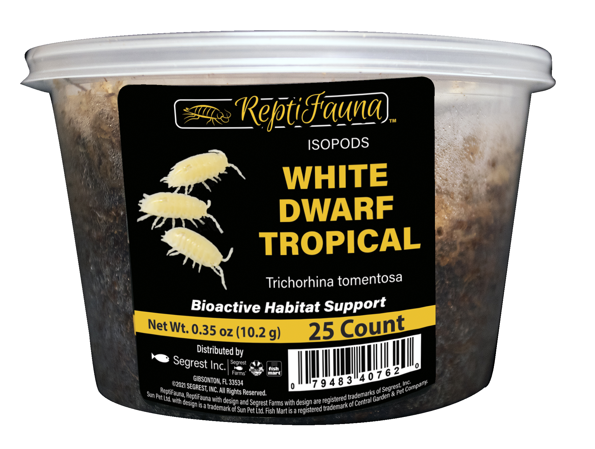 White Dwarf Tropical